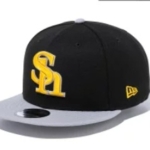 Thumbnail of post image 083