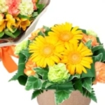 Thumbnail of post image 034